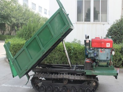 源頭現(xiàn)貨供應(yīng)履帶車陡坡果園自卸四不像運(yùn)輸車2T座駕履帶車