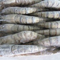 提供國外凍品海鮮進口報關(guān)清關(guān)代理的服務(wù)