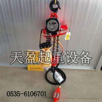 湖北三榮環(huán)鏈氣動葫蘆價格,環(huán)鏈氣動葫蘆VLX25LC-PR