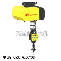 EIW132120智能電動葫蘆,水泥制造廠用智能電動葫蘆