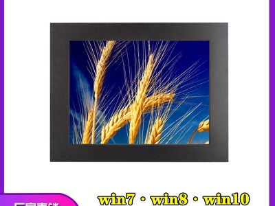 東凌計(jì)算機(jī)嵌入式17寸工控工控一體機(jī)win10