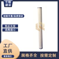 生產(chǎn)替代派瑞燃氣聚結濾芯FG-36-A-SCW